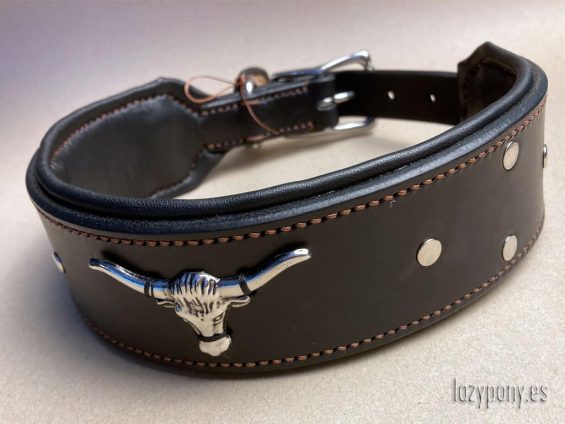 wide dog collar