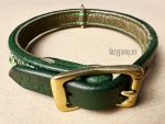 dog collar with stones