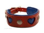 wide brown leather hound collar Lazypony