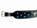 Padded Custom Collar for Large Dogs