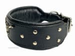 Bully dog collar Lazypony