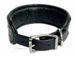 Padded Collar for big Dogs Lazypony