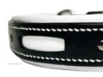 custom dog collar with tame tag Lazypony