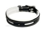 Personalized Padded Dog Collar Lazypony