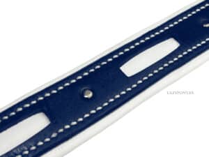 Leather Dog Collar with Name Tag Lazypony