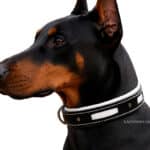 Leather Dog Collar with Name Tag Lazypony, Personalized Padded Collar