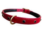 Red leather dog collar Lazypony