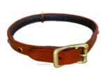 Padded leather collar for small dogs Lazypony