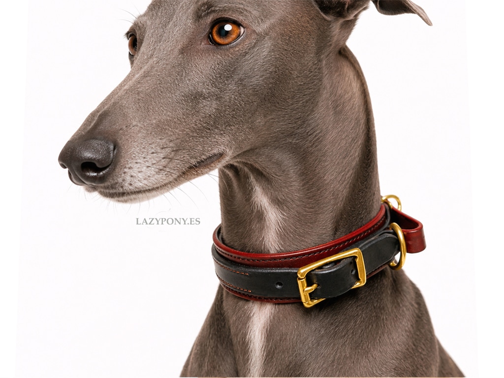 2620 Leather Martingale Dog Collar Foxhound Lazypony