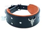 Wide Leather Dog Collar Bull Lazypony with Name Tag