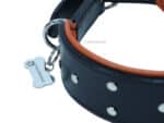 Padded Custom Collar for Large Dogs with Name