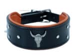 pitbull collar Lazypony with Name Tag ID