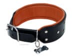 Personalized Padded Custom Collar for Large Dogs with Name
