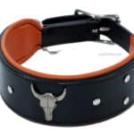 bull dog collar lazypony