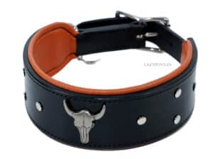 bull dog collar lazypony