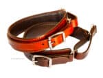 Leather martingale dog collar Foxhound Lazypony with name tag id