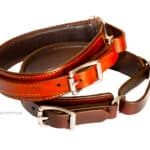 leather greyhound martingale collar lazypony