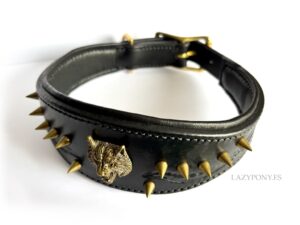 spike dog collar Lazypony