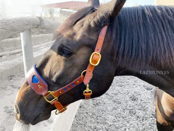 Anatomical leather halter Heart Lazypony with two buckles.