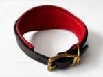 padded leather dog collar