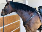 Portuguese Breastplate Lazypony - Image 5