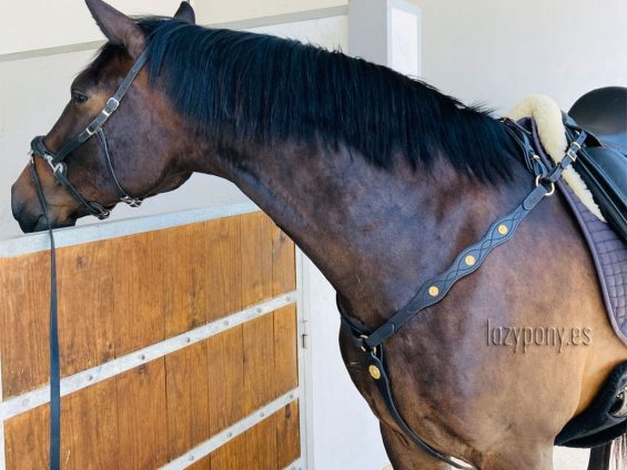 Portuguese Breastplate Lazypony - Image 5