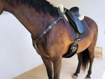 Portuguese Breastplate Lazypony - Image 7