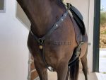 Portuguese Breastplate Lazypony - Image 12