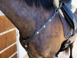 Portuguese Breastplate Lazypony