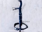 medieval bridle