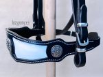 medieval bridle
