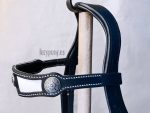 medieval bridle