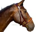 leather bitless sidepull bridle Lazypony
