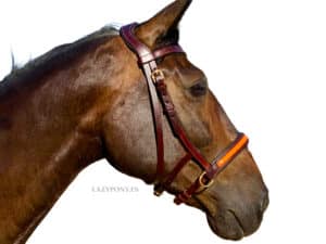 leather bitless sidepull bridle Lazypony