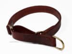 Limited Slip on Collar with Name Tag