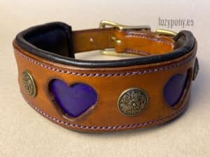 wide leather collar