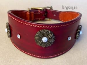 wide hound collar