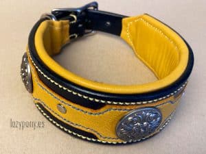 wide leather collar