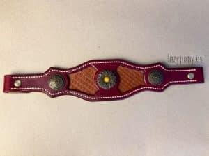 fancy noseband