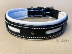 dog collar with cut-outs