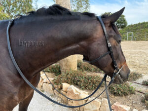 simple bridle Lazypony with reins