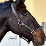 patent leather horse halter