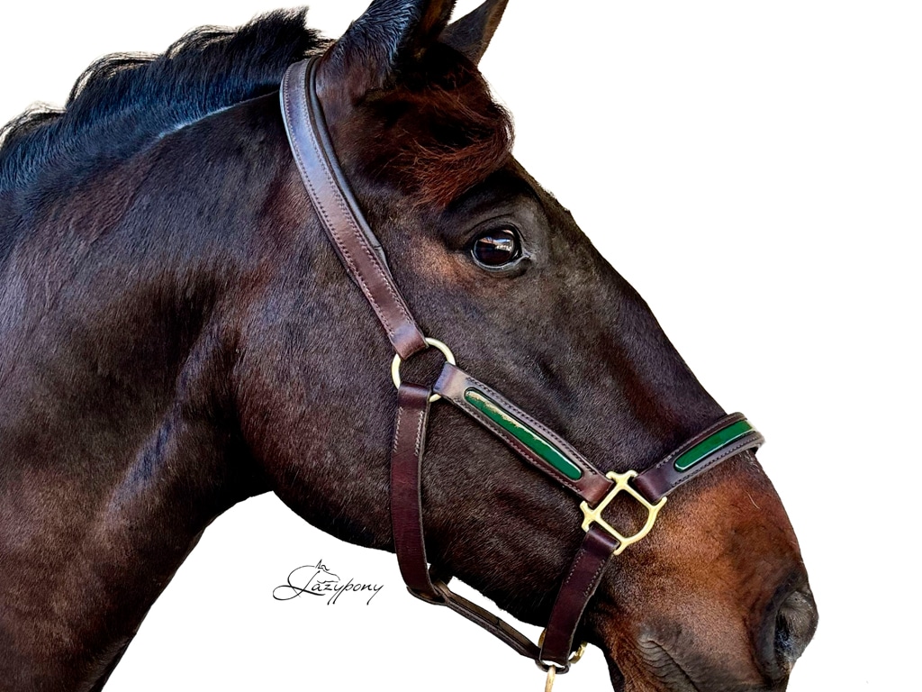 2518 Patent leather horse halter Lazypony