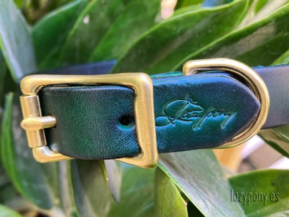 plain dog collar