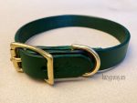 plain dog collar
