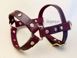 dog harness