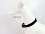 classic leather dog collar