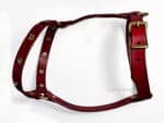 small dog harness