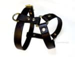 small dog harness
