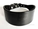 Hound dog collar Classic